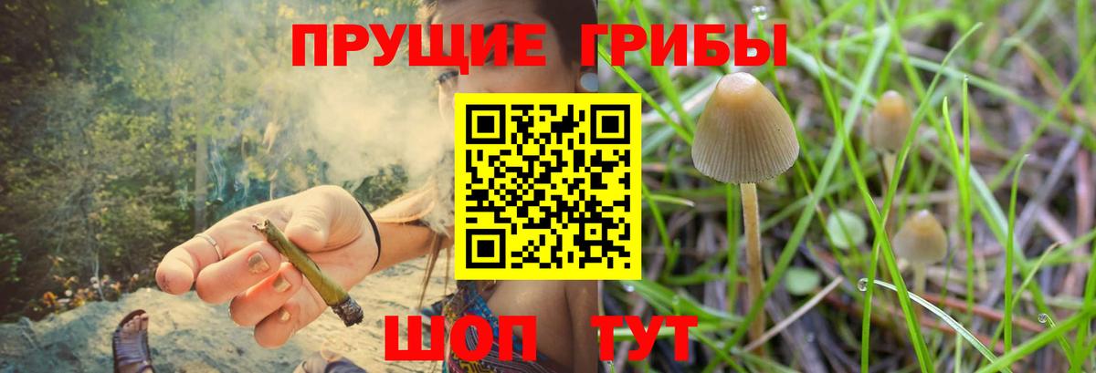 Псилоцибиновые грибы GOLDEN TEACHER Лангепас